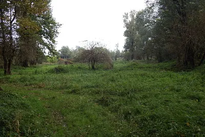 פאזל של erba alta