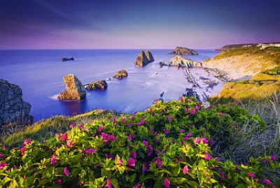 L 'ete sur la cote