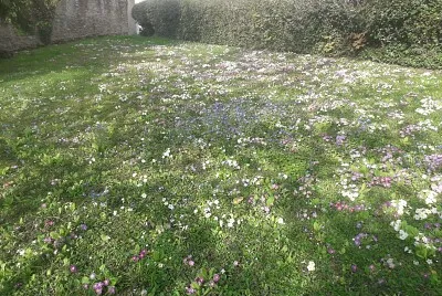 Printemps Hauts de Seine