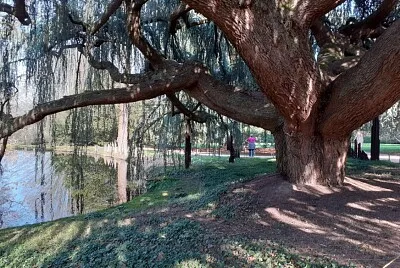 Parc Yvelines jigsaw puzzle