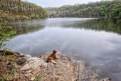 Lac de Mervent jigsaw puzzle