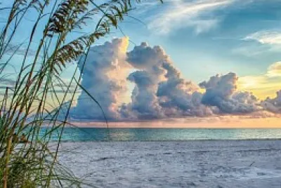 paysage