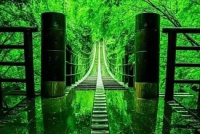 puente jigsaw puzzle