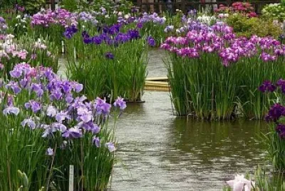 paysage