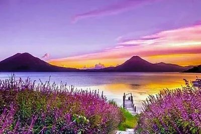 paysage