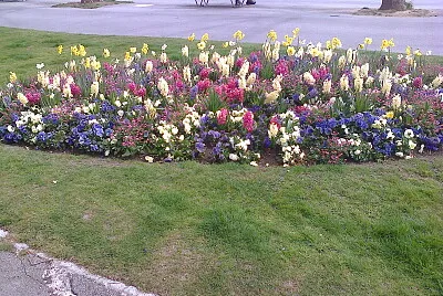 Neuchâtel quais fleuris