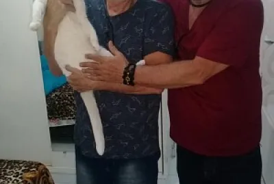 פאזל של moradia