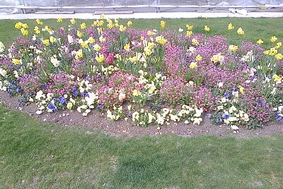 Neuchâtel quais fleuris 2