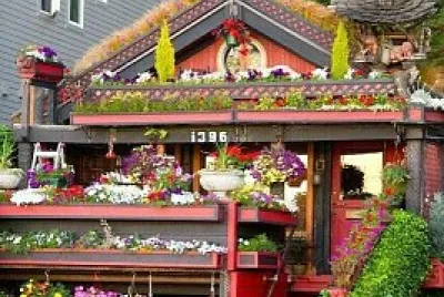 Casa de Flores
