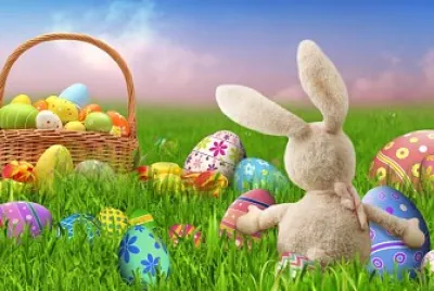 Lapin de dos a paques