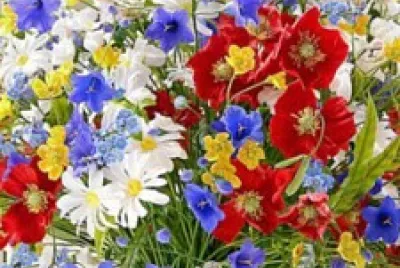 fleur