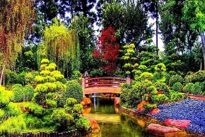 paysage