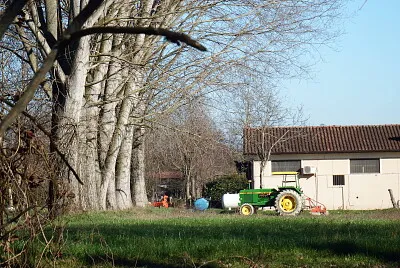 פאזל של fattoria