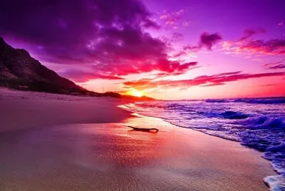 paysage