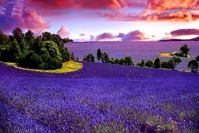 paysage