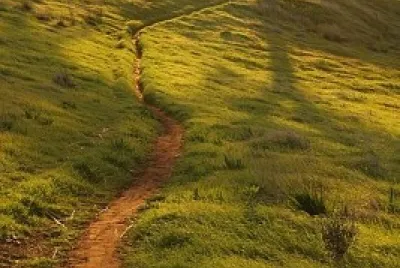 camino jigsaw puzzle