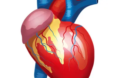 corazon