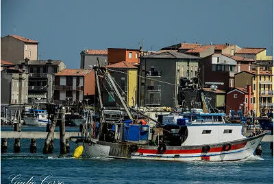 Chioggia