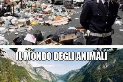 CHE MONDO! jigsaw puzzle