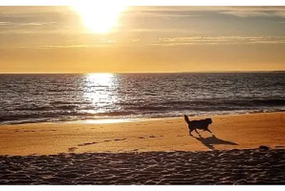 Coucher de soleil