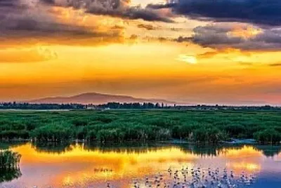 paysage