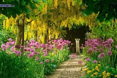 paysage
