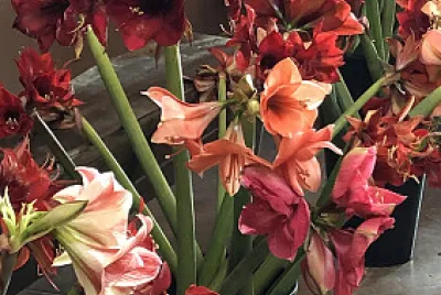fleur jigsaw puzzle