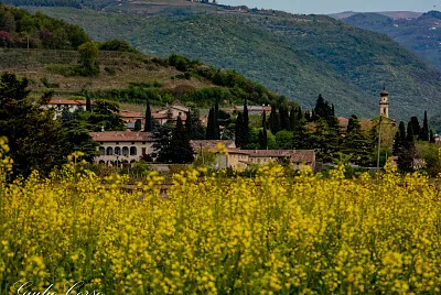Mizzole di Verona jigsaw puzzle