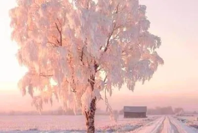 naturaleza jigsaw puzzle