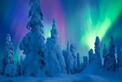 naturaleza jigsaw puzzle