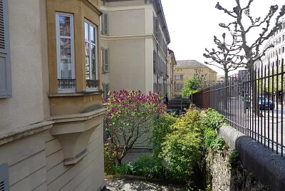 Neuchâtel lilas en fleurs 2