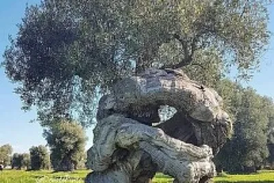 UN ABBRACCIO jigsaw puzzle