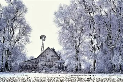 winter #272 jigsaw puzzle