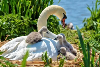 mom #348