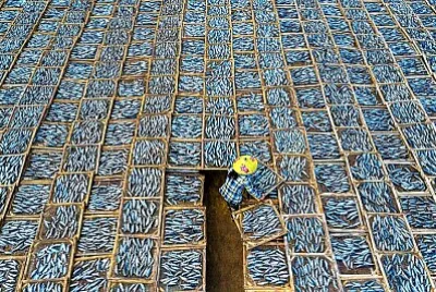very fishy jigsaw puzzle