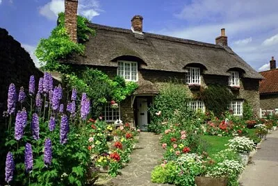 paysage jigsaw puzzle