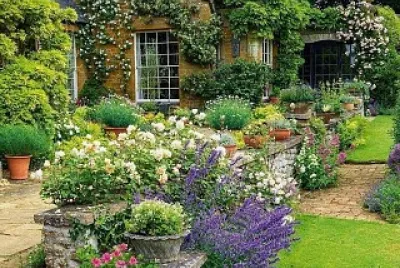 paysage jigsaw puzzle