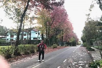 פאזל של moradia