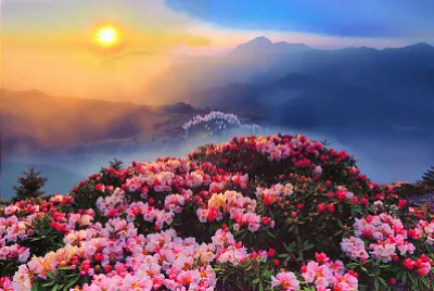 風景