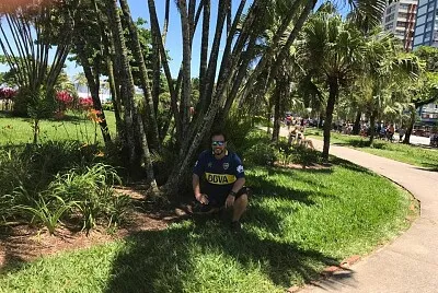 פאזל של moradia