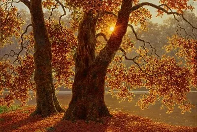Otoño
