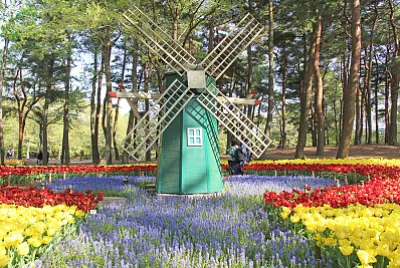 NATUREZA jigsaw puzzle