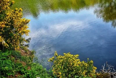 פאזל של Etang