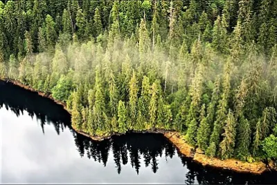 autumn #273 jigsaw puzzle