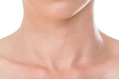 neck