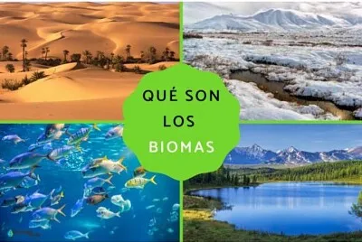 5to
