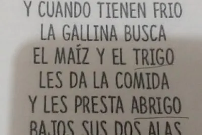 Cinco de mayo