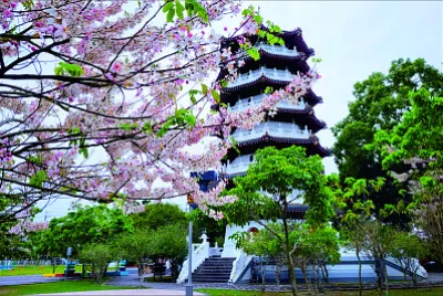 風景