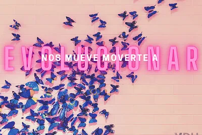 VDH