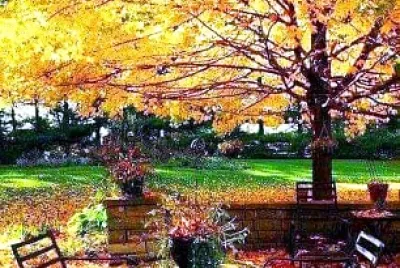 jardín jigsaw puzzle